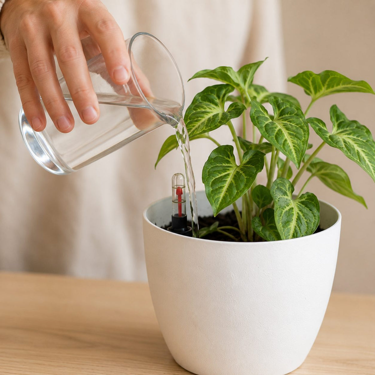 Pot Vivace™ auto-arrosant